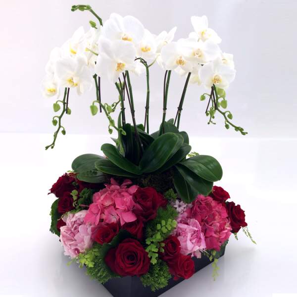 Orchid Garden Planter