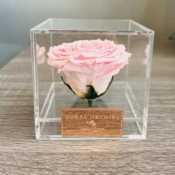 Forever Rose pink ™