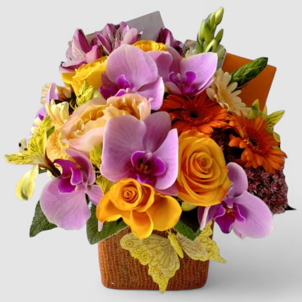 Apricot Lavender Blossoms Designer's Choice