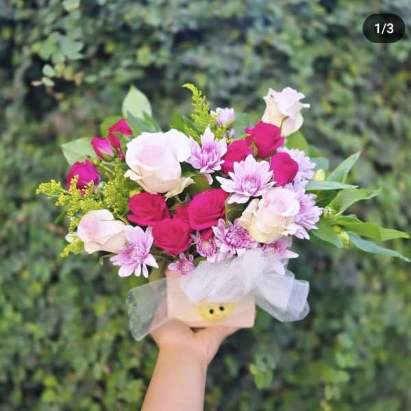 Welcome Home Baby GIrl