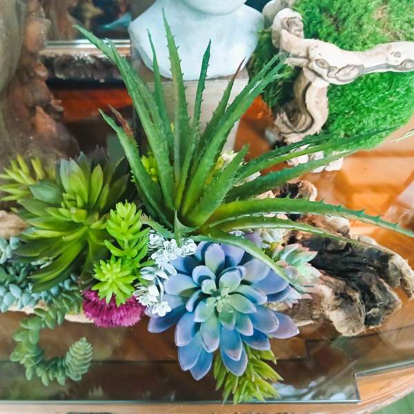 Permanent Succulent Planter