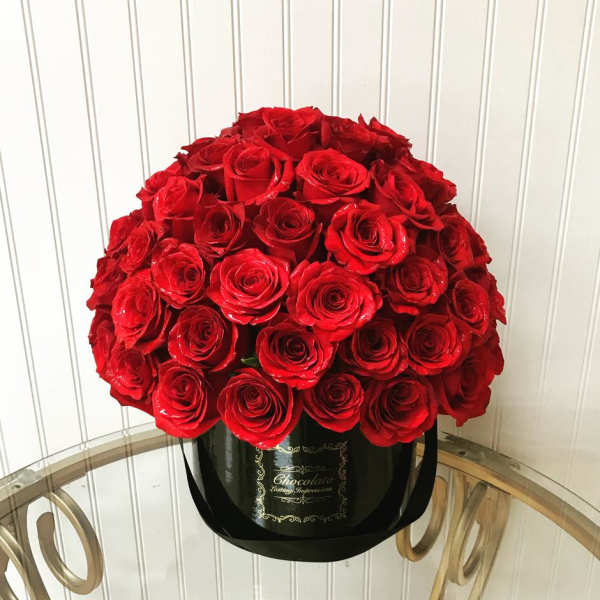 Parisa - Red Rose Wonderland