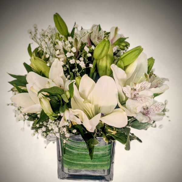 Classic White Lily Cube