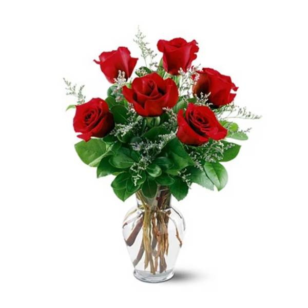 6 RED ROSES IN A VASE