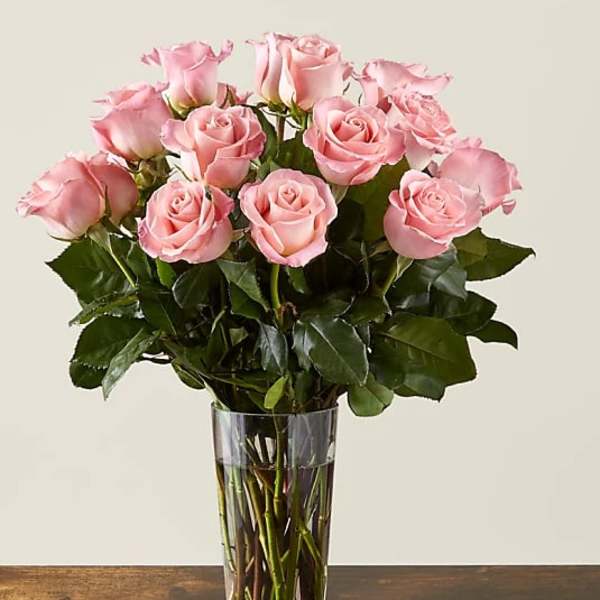 Long Stem Pink Rose Bouquet