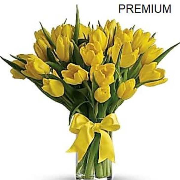 20 Yellow Tulips arranged in a vase