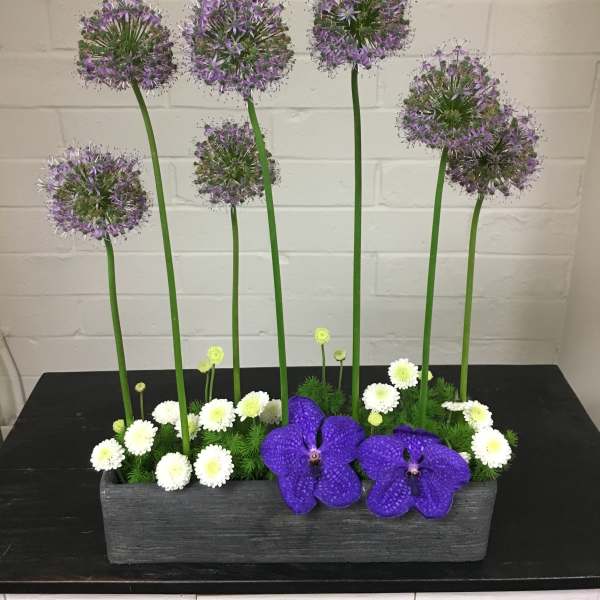 Saturday Night Fever