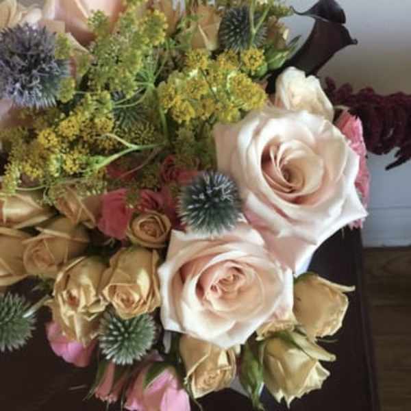 Suzanne Cummings Original 23