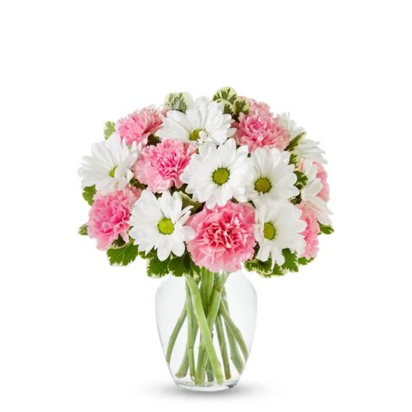 Daisy & Carnation Delight