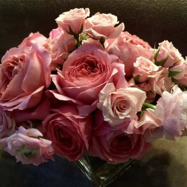 Suzanne Cummings Original 9