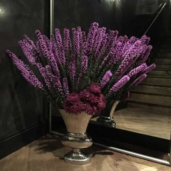 Suzanne Cummings Original 27