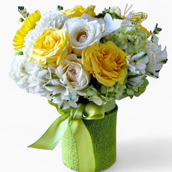 Birthday Beauty Designer's Choice