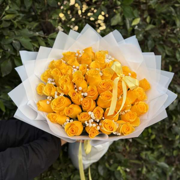 Golden Glow- Signature