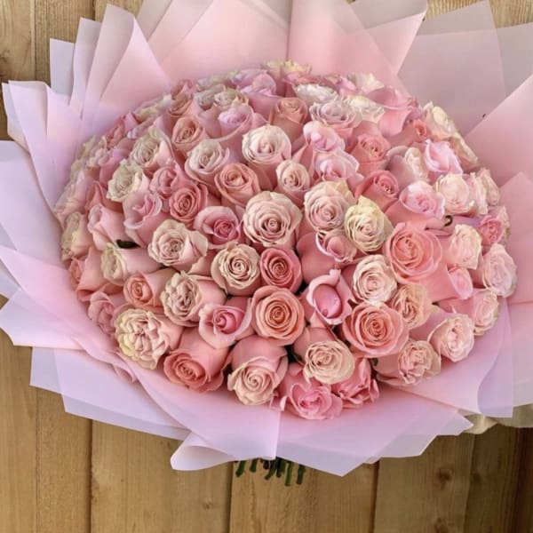 Pretty in Pink Buchon