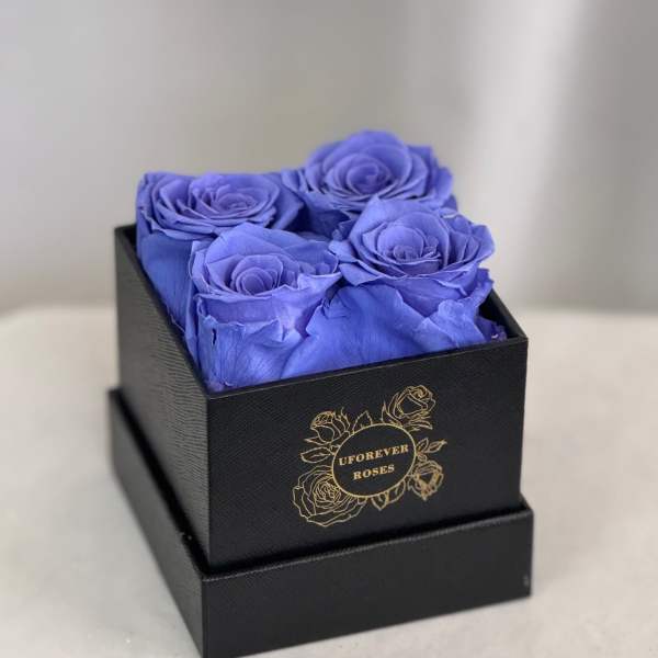 Forever Roses Purple
