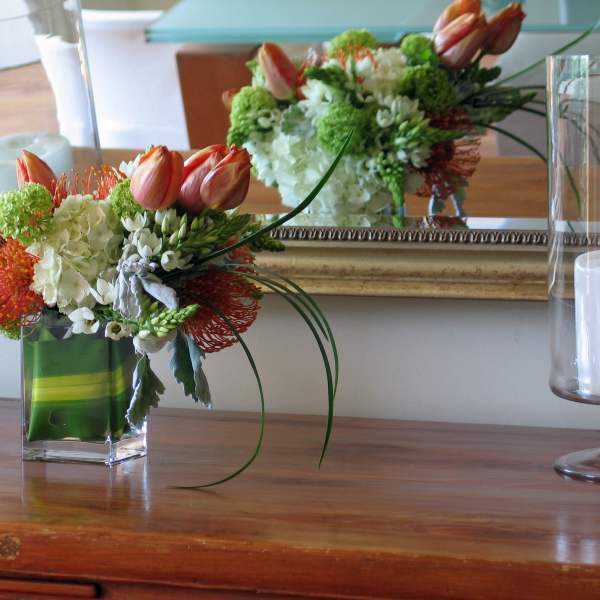 59 Multi-spray rectagle