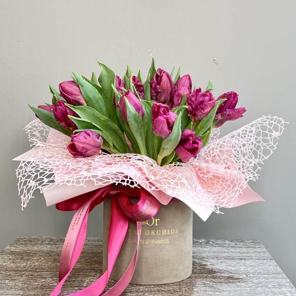 Tulips in a box - purple