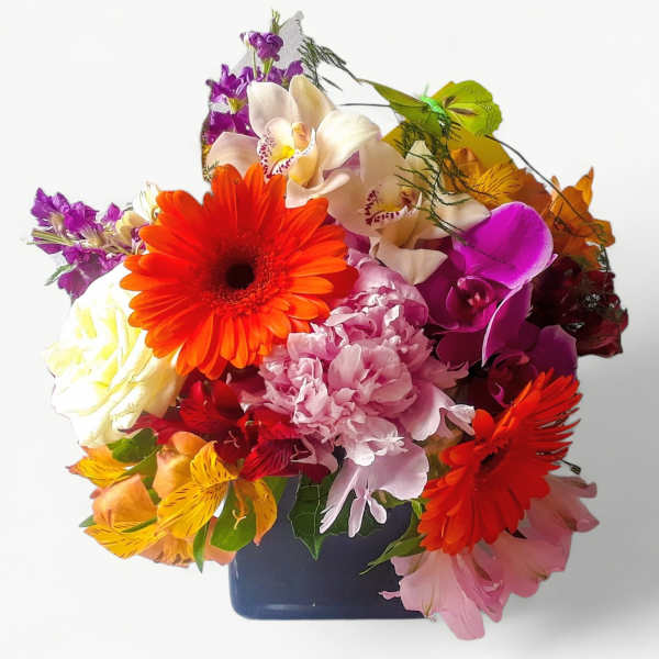 Vibrant Blossom Beauty Designer's Choice