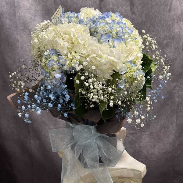 The love of Hydrangeas