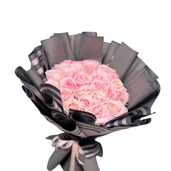 25 Soft Pink Ohara Garden Roses