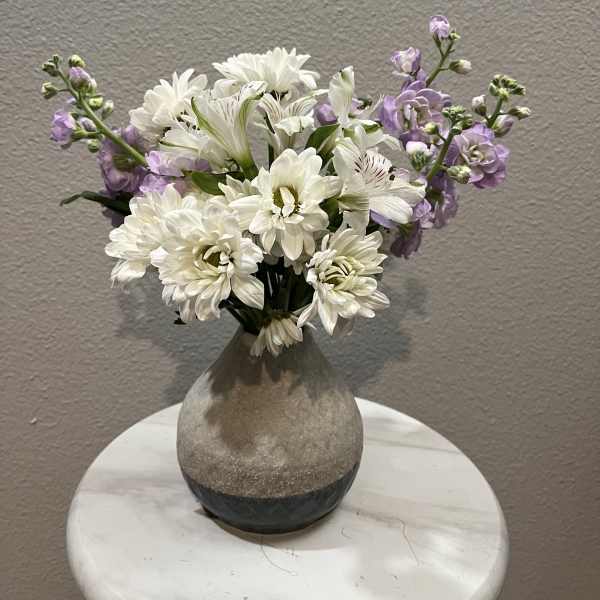 Petite Bloom Collection II