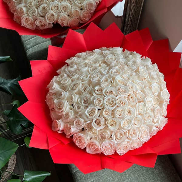100 white roses