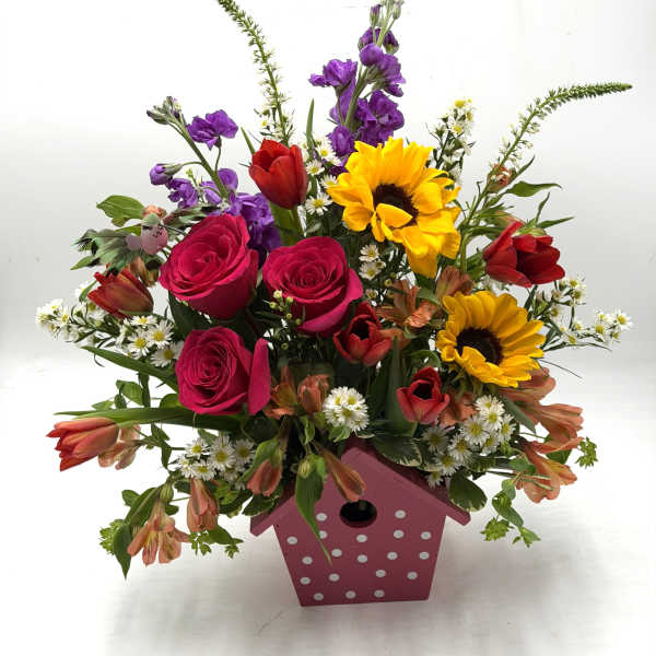 Sunny Garden Songbird