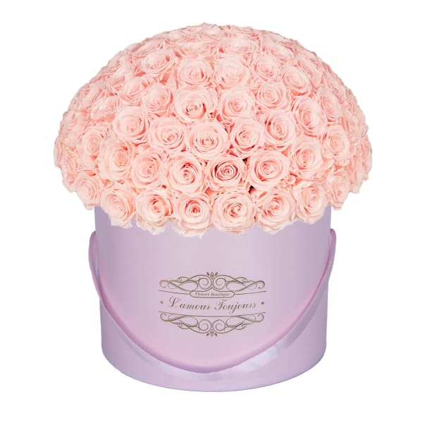 100 Pink Everlasting Roses - Pink Signature Box