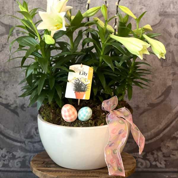 Easter Lily Planter