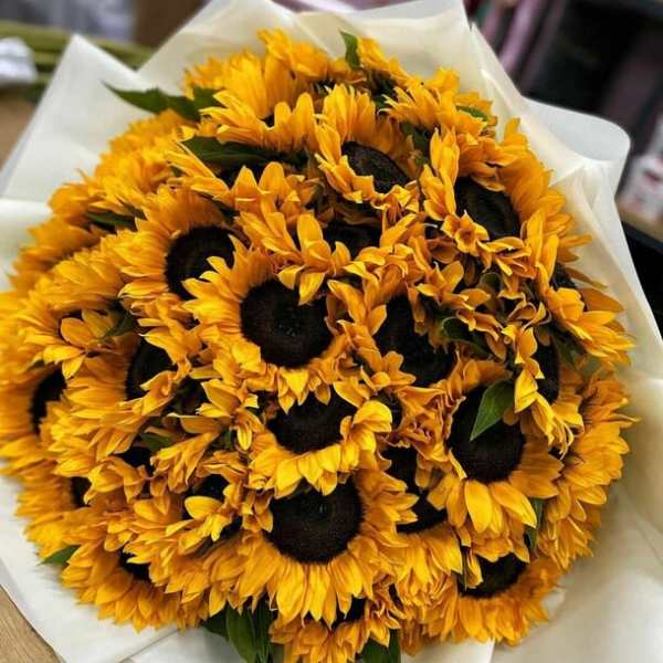 Sunny sunflowers