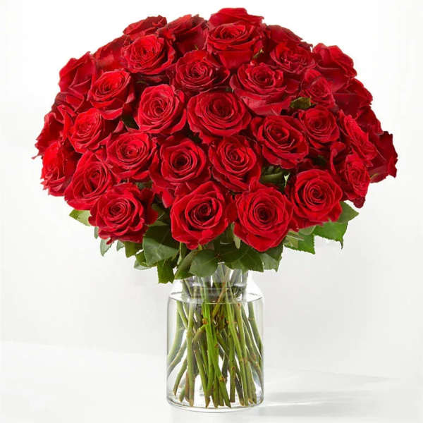Three Dozen Long Stem Red Roses