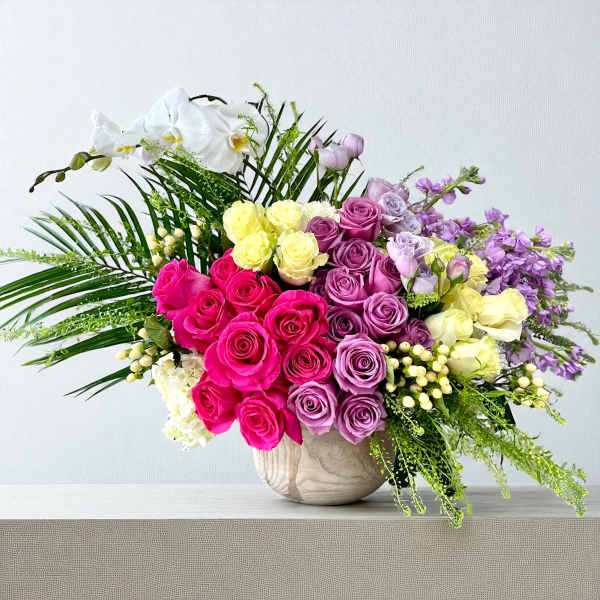 Creation Forty Three