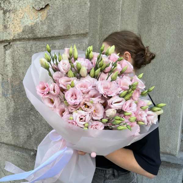 Pink Lisianthus
