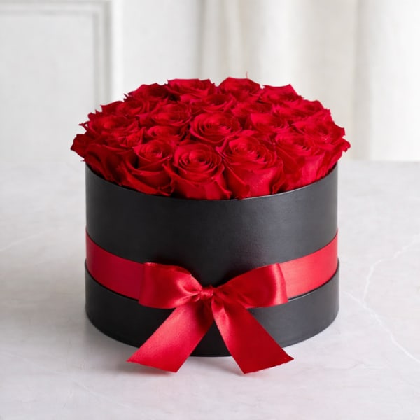 Vibrant Elegance Collection-Black