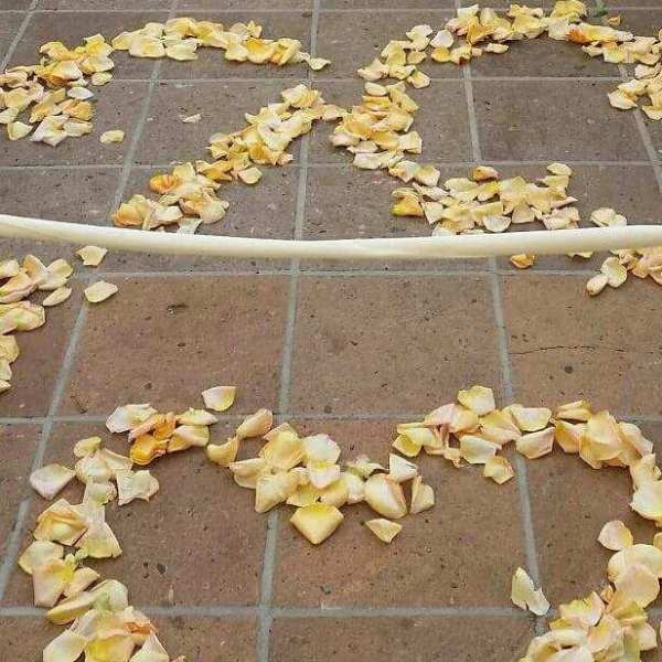 ROSE PETAL WEDDING AISLE