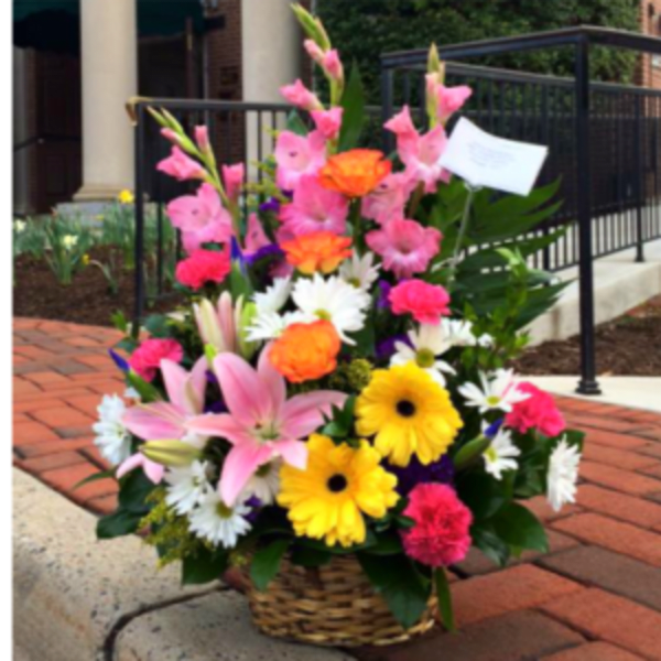 SPRING BASKET ARRANGEMENT [TT-ARR50]