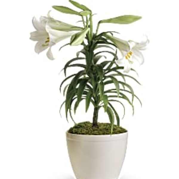 Easter Lily in ceramic