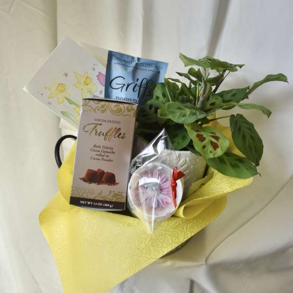 Spring Gift Basket