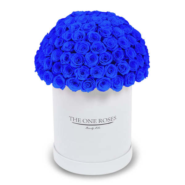 Suede Dome Deluxe | Premium White Box Sapphire Blue