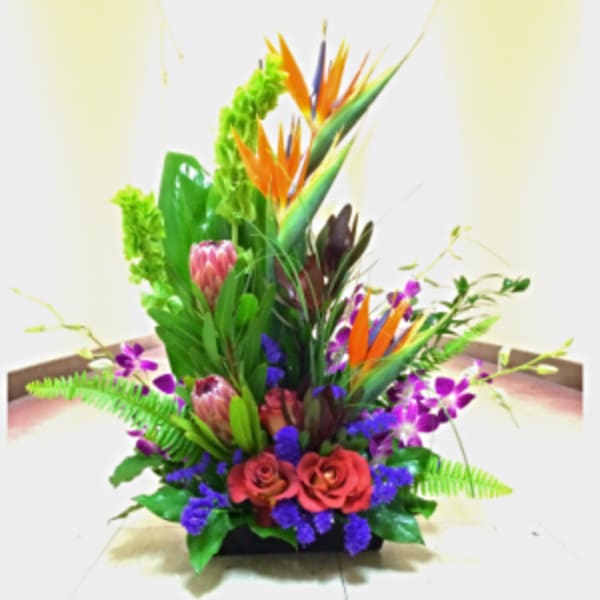 [TT-ARR18]: TROPICAL GRANDEUR