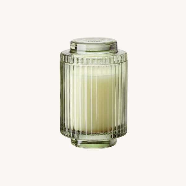 Kyoto Vine & Moss - 7oz Candle | La Jolie Muse