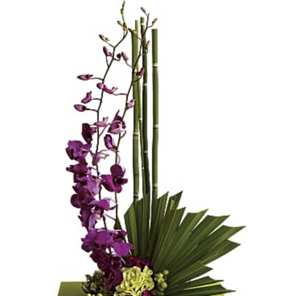 zen Artistry by teleflora