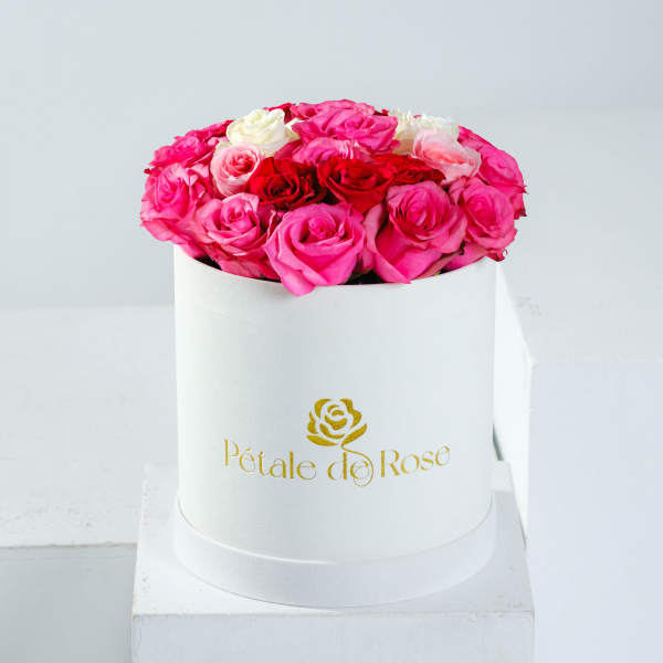 Large Pink Cream Large Velvet