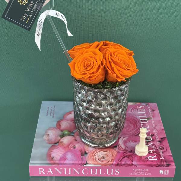 Amazing. (PRESERVED ROSES)