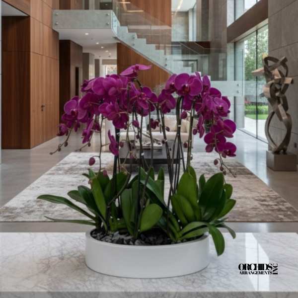 Purple Phalaenopsis Orchids – Elegant Maison Design