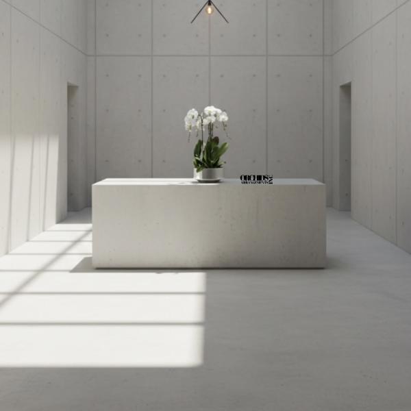 White Phalaenopsis Orchid – Boutique Designer Style