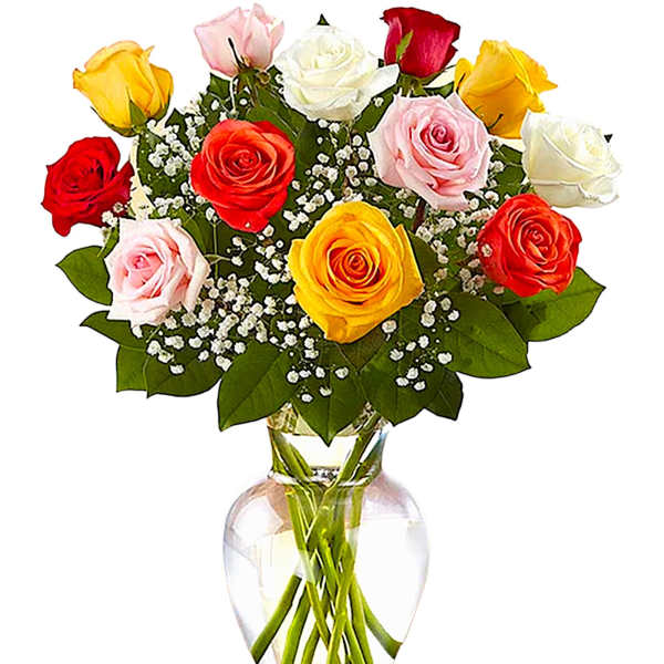Rose Elegance Premium Long Stem Assorted Roses