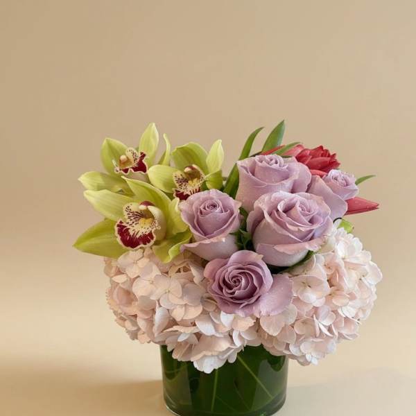 Murmures de Provence(Whispers of Provence)