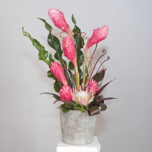 Ashbury Heights Heroic