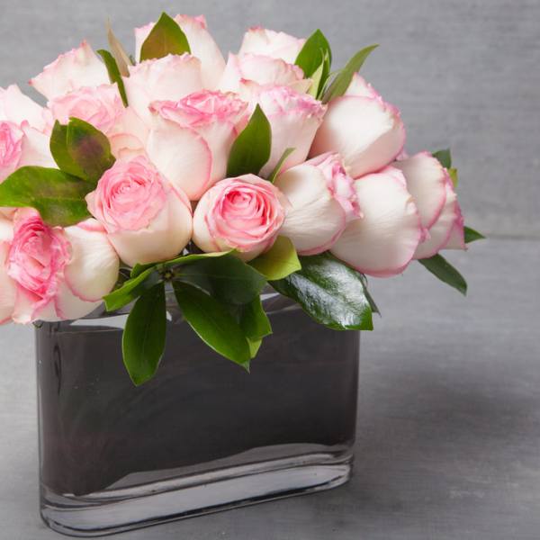 Pacific Heights Pinks